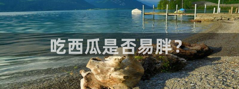 吃瓜www:吃西瓜是否易胖?