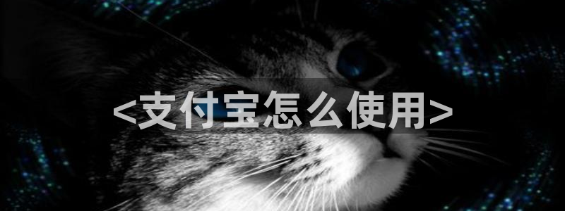 www.黑料:<支付宝怎么使用>