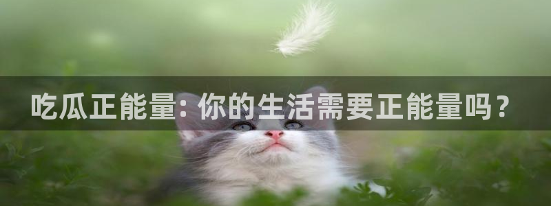 豆瓣自由吃瓜基地:吃瓜正能量: 你的生活需要正能量吗?