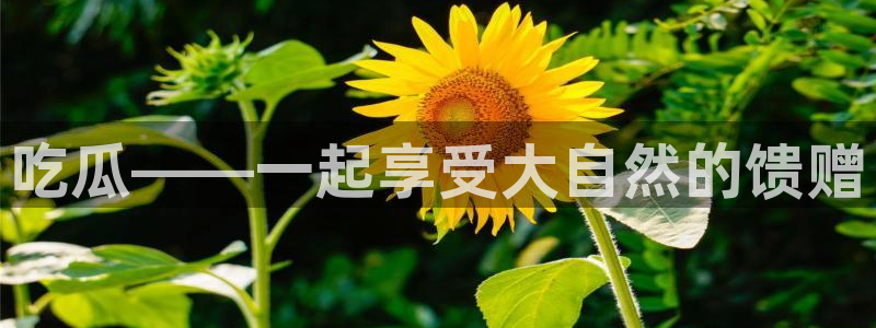 718.sⅹ 吃瓜:吃瓜——一起享受大自然的馈赠